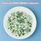 50g Mix Flatback Rhinestones Half Pearls for Crafts Mixed Size 3mm-10mm Flat Back Rhinestones for Crafts Flatback Pearls for DIY Tumblers Mugs Nail Art Shoes Clothes (Fresh Green Series)